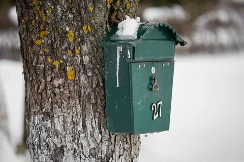 Green mail box on a tree in the forest in winter. Selective focus. Stock Photos