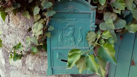 Green Mailbox with Lion Stock Footage 83141983