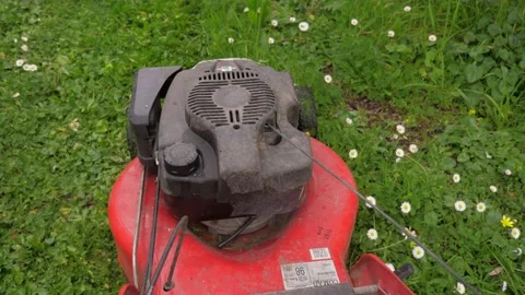 Petrol lawn best sale mower maintenance