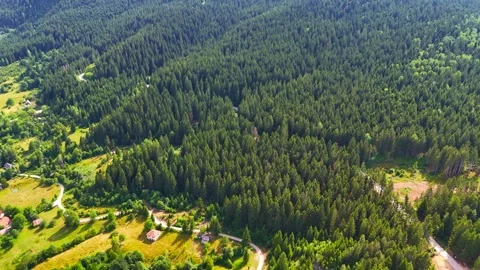 Green Majesty Vídeo Stock 307369830