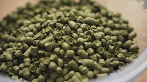 Green malt for brewing Stock Footage 153269279