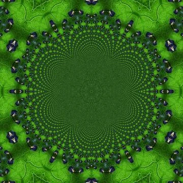 Green mandala from forest tree leaves. Abstract kaleidoscopic arabesque made Stock Illustration