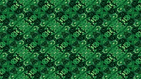 Green Mandala Pattern Background Stock Footage 336840761