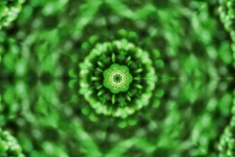 Green mandala pattern with flower-shaped elements Stock Photos