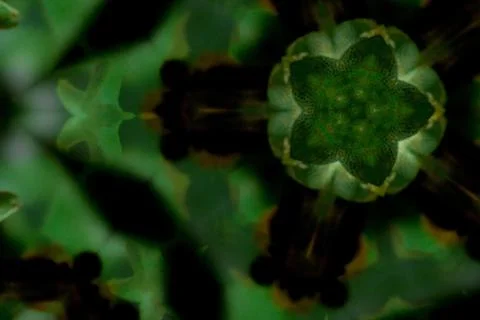 Green mandala pattern with flowers in the blurred background Stock Photos