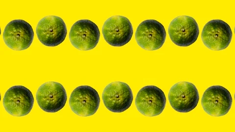 Green mandarin in seamless loop pattern on a yellow background Stock Footage 221992842