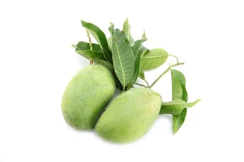 Green mango and leaves. Stock Photos
