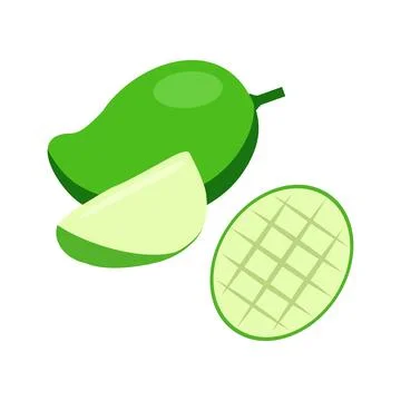 Green mango and pieces vector illustration isolated on white background Stock Illustration