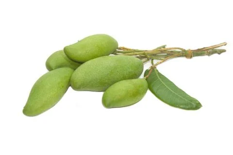 Green mango fruit Stock Photos