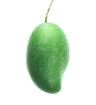 Green mango isolated on a white background Stock Photos