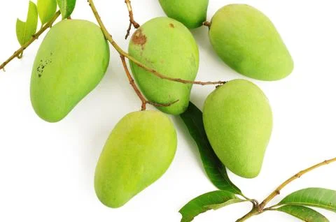 Green mango Foto stock