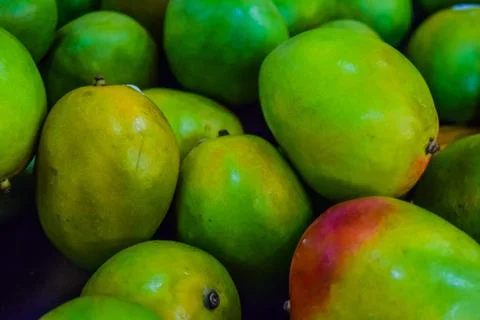 Green mango Stock Photos