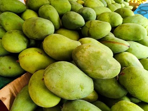 Green Mango Stock Photos