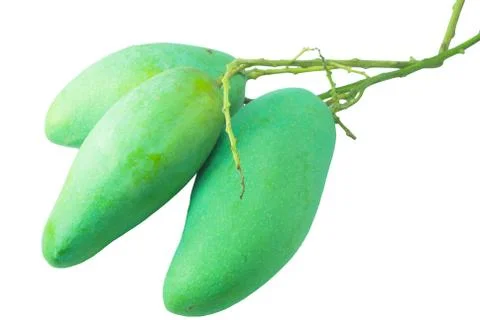 Green mango on white isolate Stock Photos