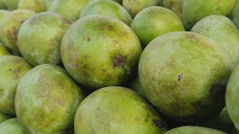 Green Mangoes In Pattern Used For Making Pickle Stock Footage 281093296