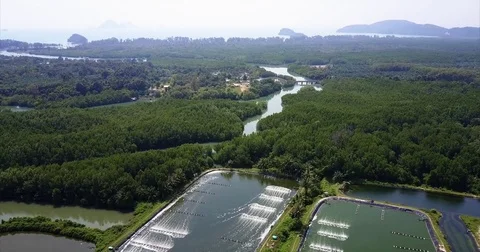 Green mangrove belt between fish ponds and limestone islands 库存影片 71297794