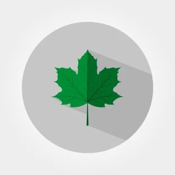 Green maple leaf icon Stock Illustration