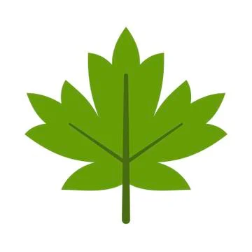 Green Maple Leaf icon isolated on white background. Vector illustration Stock Illustration