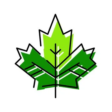 Green maple leaf icon representing nature and canada Stock Illustration