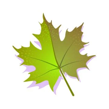 Green maple leaf icon, textured flat design shadow. Single nature, ecology Stock Illustration