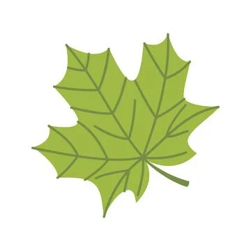 Green Maple Leaf Illustration in Flat Hand Drawn Style Stock Illustration