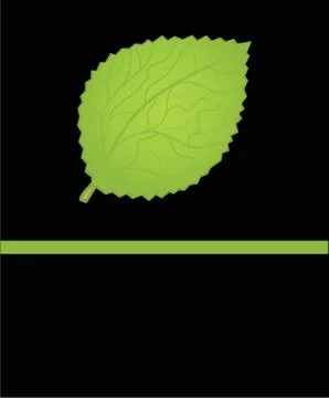 Green maple leaf illustration Stock Illustration