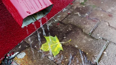 Green maple leaf in a puddle against the background of water flowing from a Stock Footage 309919443