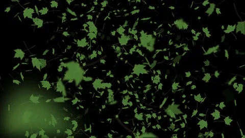 Green maple leaves falling with alpha channel Stock Footage 115842176
