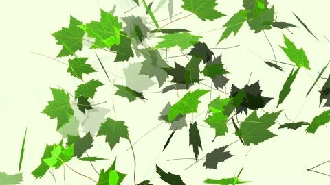 Green maple leaves flying on white background. Minimalistic elegant natural Stock Footage
