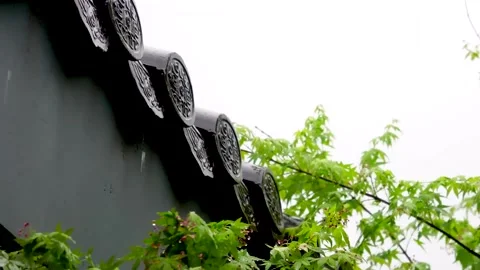 Green Maple Leaves Framing Traditional Dark Eaves Stock Footage 346109545