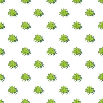 Green maple leaves pattern 스톡 일러스트