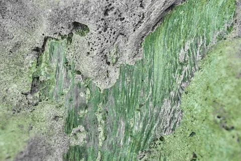 Green marble texture background floor Stock Photos