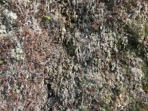 Green marble tile. texture Stock Photos