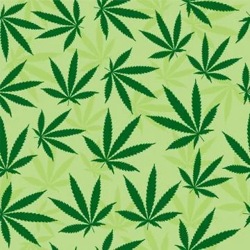 Green marijuana leaf background Illustration