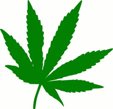 Green marijuana leaf isolated on white background Stock Illustration