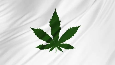 Green marijuana logo on a white background developing in the wind 2 in 1 Stock Footage 102216133