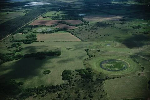 Green marsh field with distant trees 4 Stock Photos