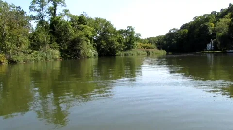Green Marsh Lagoon Stock Footage 857007