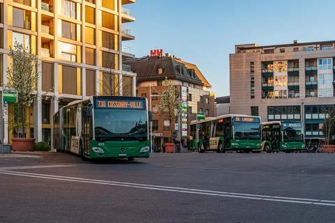 Green MBC public buses operating at the main transport hub in city at sunset Stock Photos