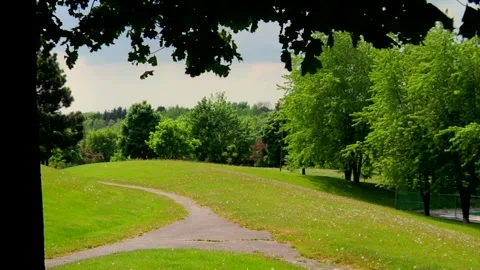 Green Meadow and Path on a Tree-Lined Hill Vídeo Stock 347154665