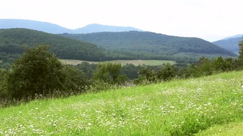 Green meadow on the background of mountains Stock Footage 64898992