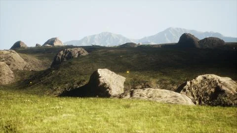 Green meadow on the background of the mountains Stock Illustration