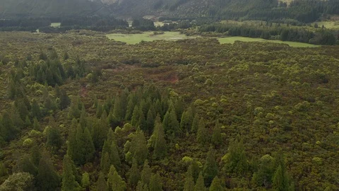 Green meadow between forest and mountain. Aerial of nature park on Terceira Stock Footage 121270281