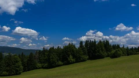 Green Meadow Bordering Dense Forest Under Dramatic Summer Cloudscape Stock Photos