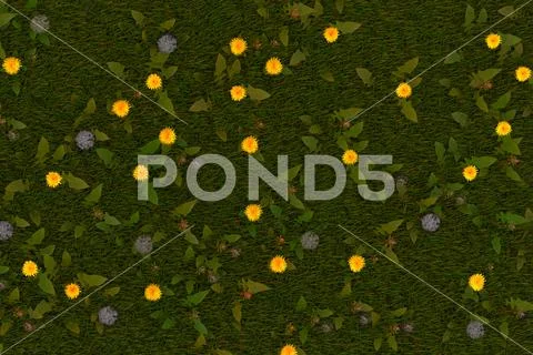 Green meadow with dandelions Stock Photos
