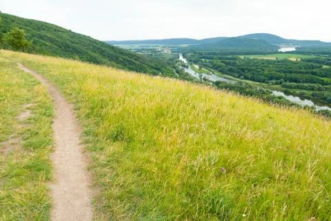 Green meadow with dirt path Stock Photos