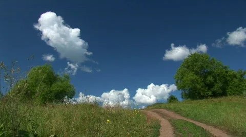 Green meadow Stock Footage 482321