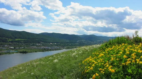 Green meadow. 스톡 동영상 776706