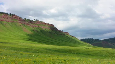 Green meadow Stock Footage 1183711