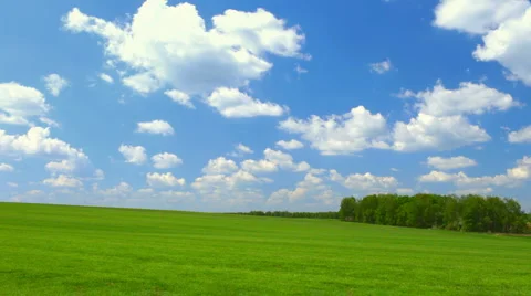 Green meadow Video stock 5502979